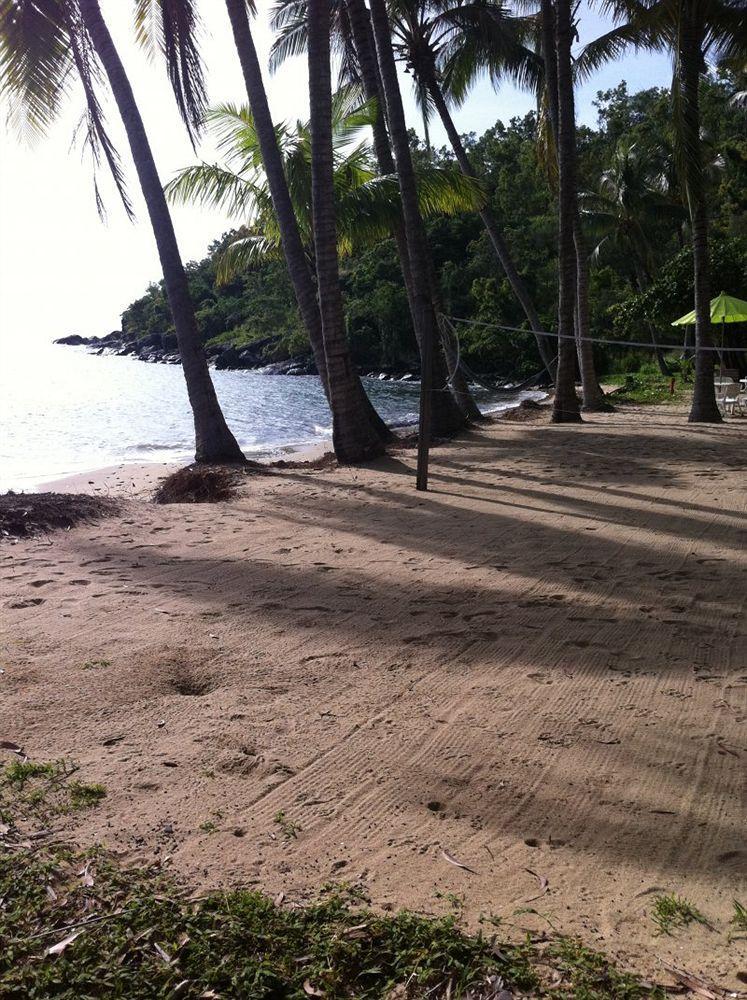 Turtle Cove Beach Resort - Adults Only Lgbtqia & Allies Wangetti Екстер'єр фото